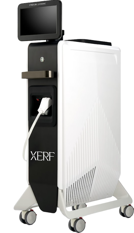 XERF（ザーフ）本体